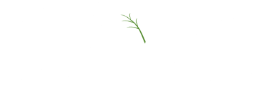 Reberth Health & Beauty logo