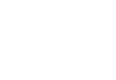 Flurin Bosshard Studio logo