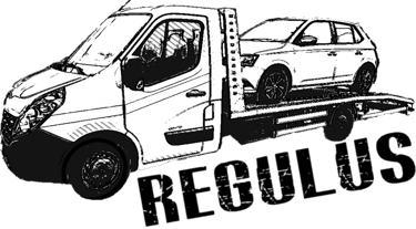 regulus logo