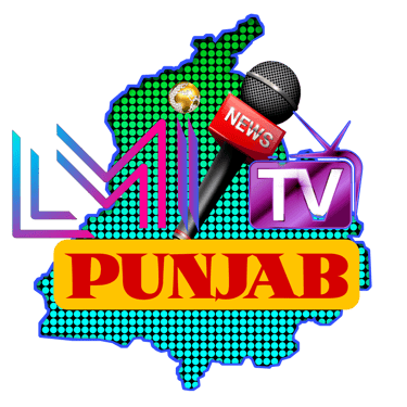 LMI TV PUNJAB (DIGITAL MEDIA WEB TV & NEWSPAPER) logo