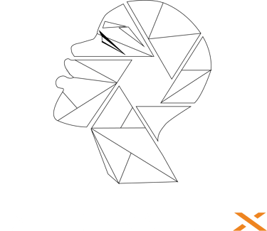 Diversel X logo