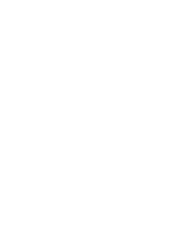 Leo Young logo