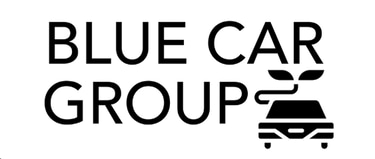 BLUE CAR GROUP LLC logo