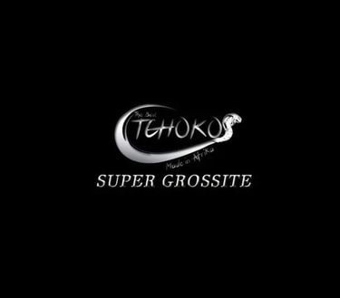 TCHOKOSSARL logo