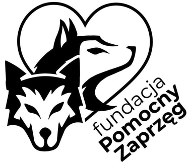 HELPING TEAM FOUNDATION logo