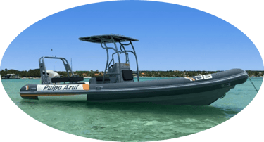Rent Boat Alcudia Mallorca logo