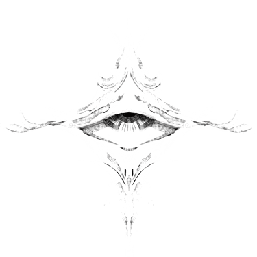 Sham Labs — Fine Art, Emotional Storytelling, Surveillance Art logo