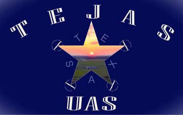 Tejas UAS logo