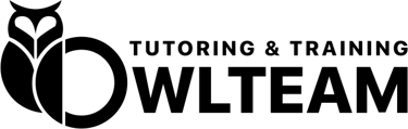 Owl Team logo