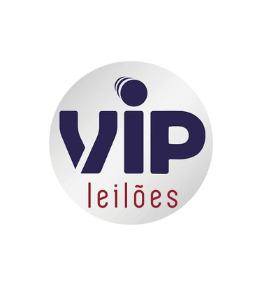 Vip Leilão logo