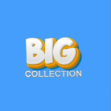 BiG collection logo