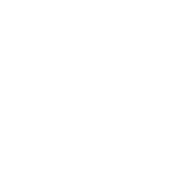 zemeja logo