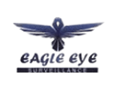 Eagle Eye Surveillance logo