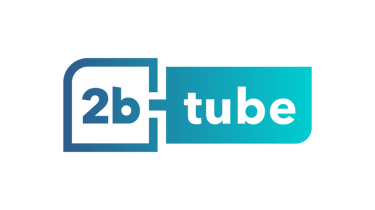 2btube Music Private Limited logo