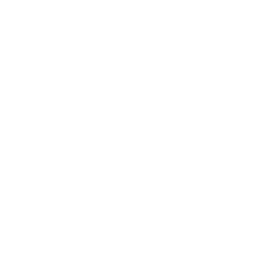Discos ERiZO logo
