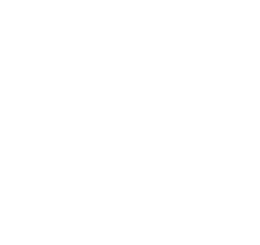 The LaFoi Group logo