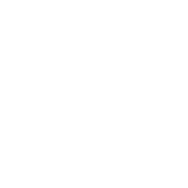 Bruno Toma Fotos logo