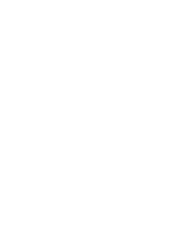 NZ DISTRIBUIDORA  -  Distribuidor de PPF, envelopamento e comunicação visual logo