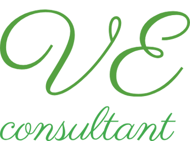 VE Consultant logo