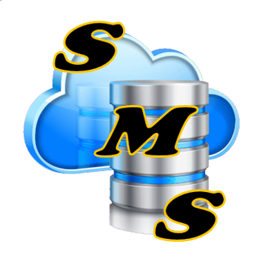 Stetson Management Solutions logo