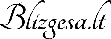 blizgesa.lt logo
