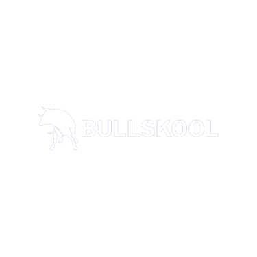 BullSkool logo