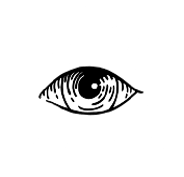 Gonsabio Mago Ilusionista - Shows de Magia en Lima logo