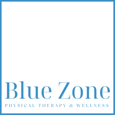 Blue Zone Physical Therapy & Wellness logo
