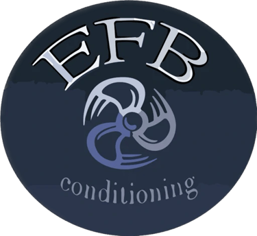 المصرية للاتزان logo