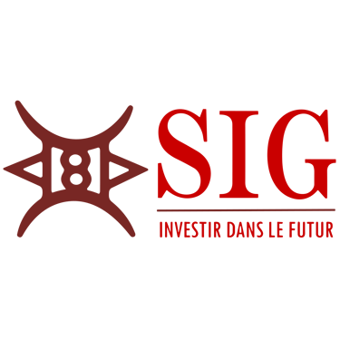 SMART INVESTMENT GROUP logo