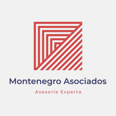 Montenegro Asociados logo