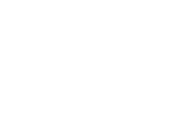 RV31 logo