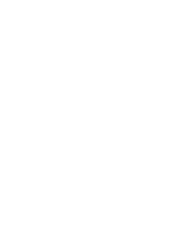 Mally Financial Services logo