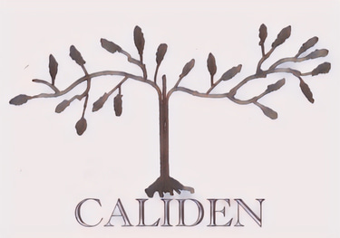 Luxury villa in North East Corfu logo