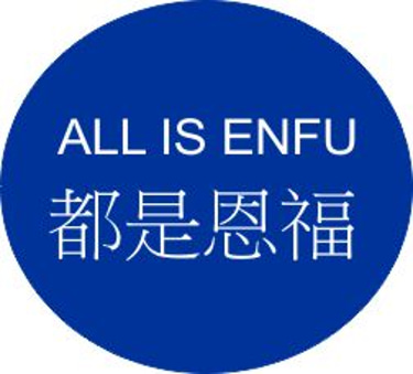 All IS ENFU logo