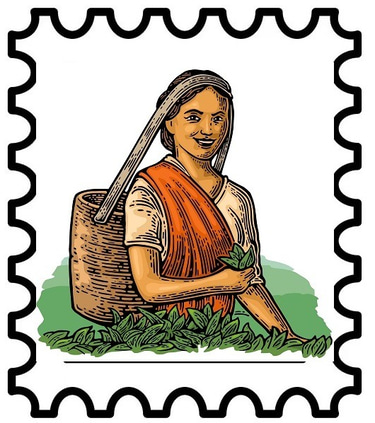 Jasmeera Tea logo