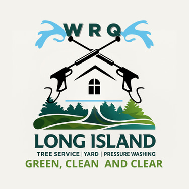 ALI WRQ logo