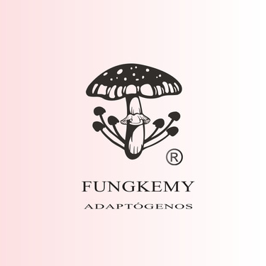 fungkemy logo