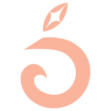 Success Oyeshola logo
