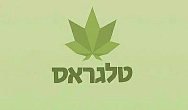 טלגראס logo