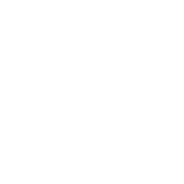 DJ ALIN logo