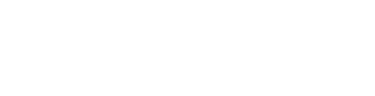 Lean X logo