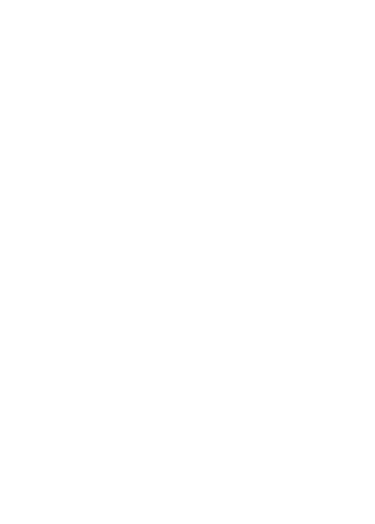 Fino Services  logo