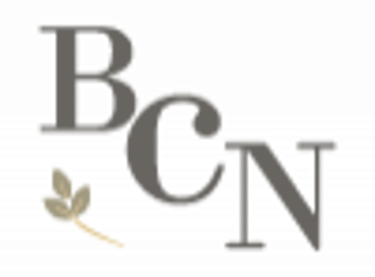 BCN | Branco Carvalho Neto logo
