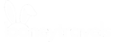 Looneytravels logo