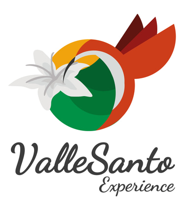 Valle Santo Experience logo