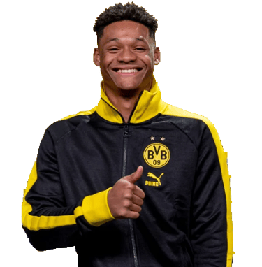 Julien Duranville - Dortmund Football Player logo