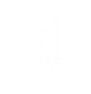 olavia diseños web y automatizacion  logo