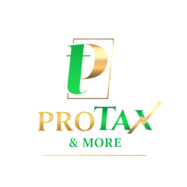 ProTax & More, LLC logo