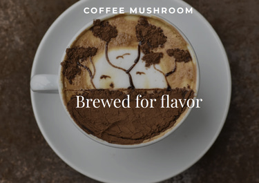 mushroom coffee and supplements logo